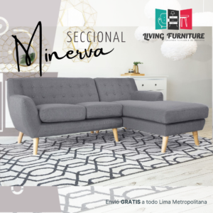 SECCIONAL MINERVA